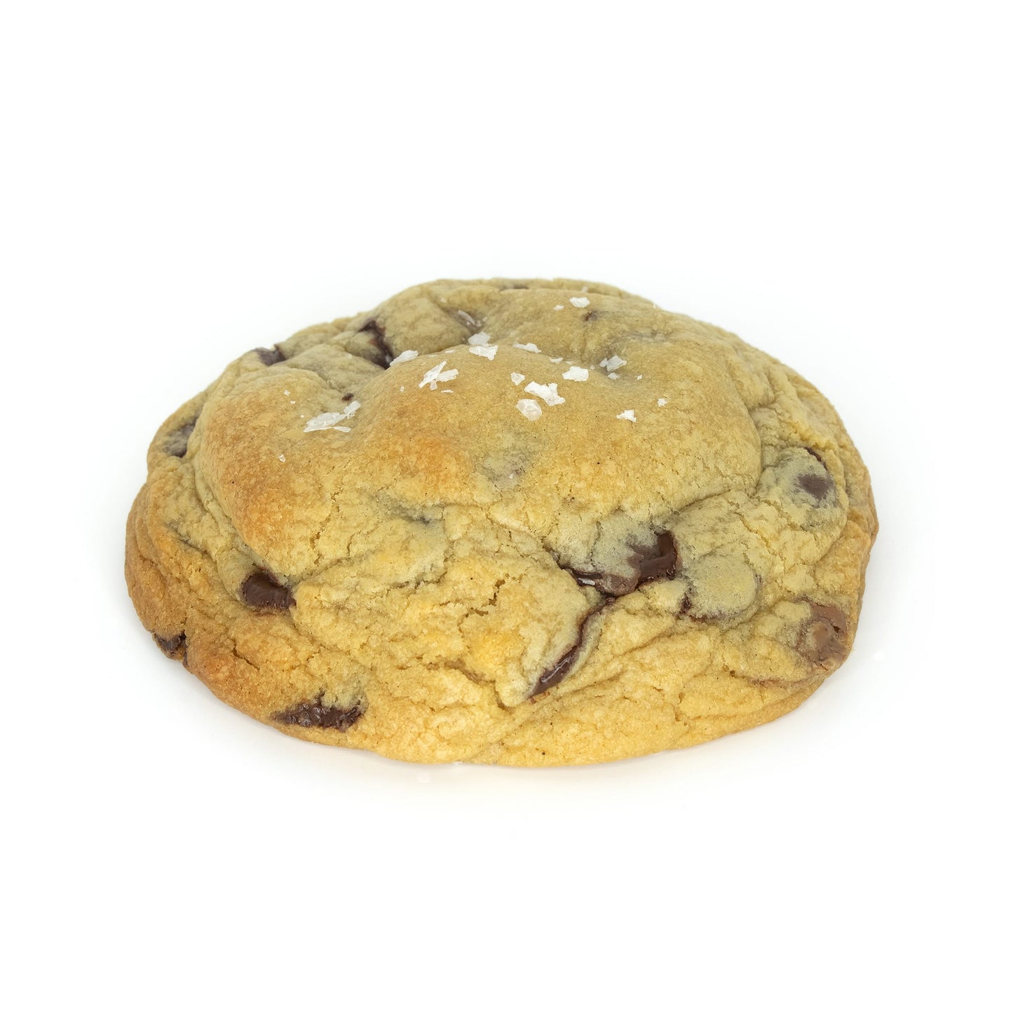 Chocolate Chip Classic Cookie